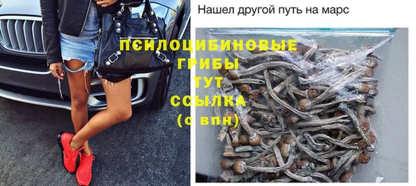 тгк Покровск