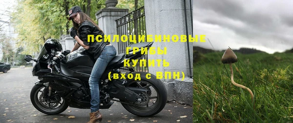 молекула духа Покачи