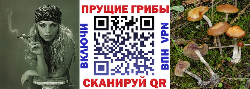 Купить где  Великий Новгород  Псилоцибиновые грибы ЛСД 